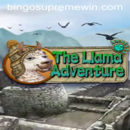 The Adventure of a Lifetime: TheLlamaAdventure and Its Unforgettable BINGO SUPREME