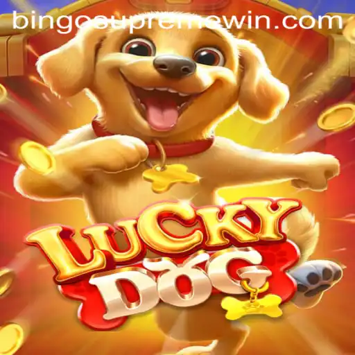 Exploring the Exciting World of LuckyDog: Understanding BINGO SUPREME