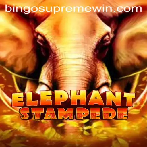 Exploring ElephantStampede: A Dive into BINGO SUPREME